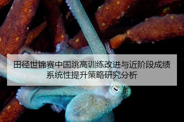 田径世锦赛中国跳高训练改进与近阶段成绩系统性提升策略研究分析