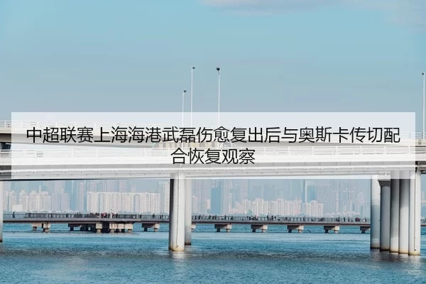 中超联赛上海海港武磊伤愈复出后与奥斯卡传切配合恢复观察