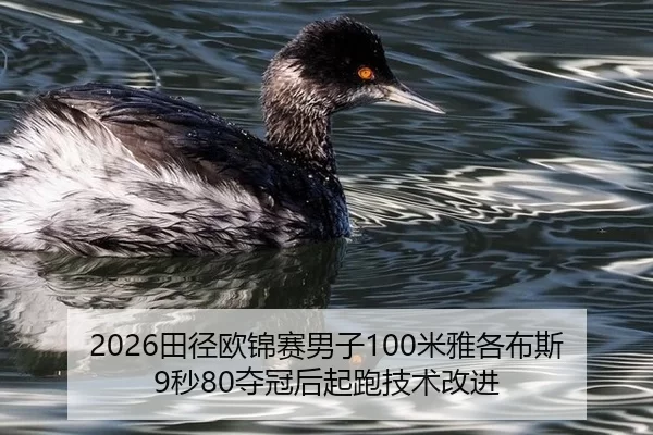 tian-jing-ou-jin-sai-nan-zi-mi-ya-ge-bu-si-miao-duo-guan-hou-qi-pao-ji-shu-gai-jin-2-495.jpg